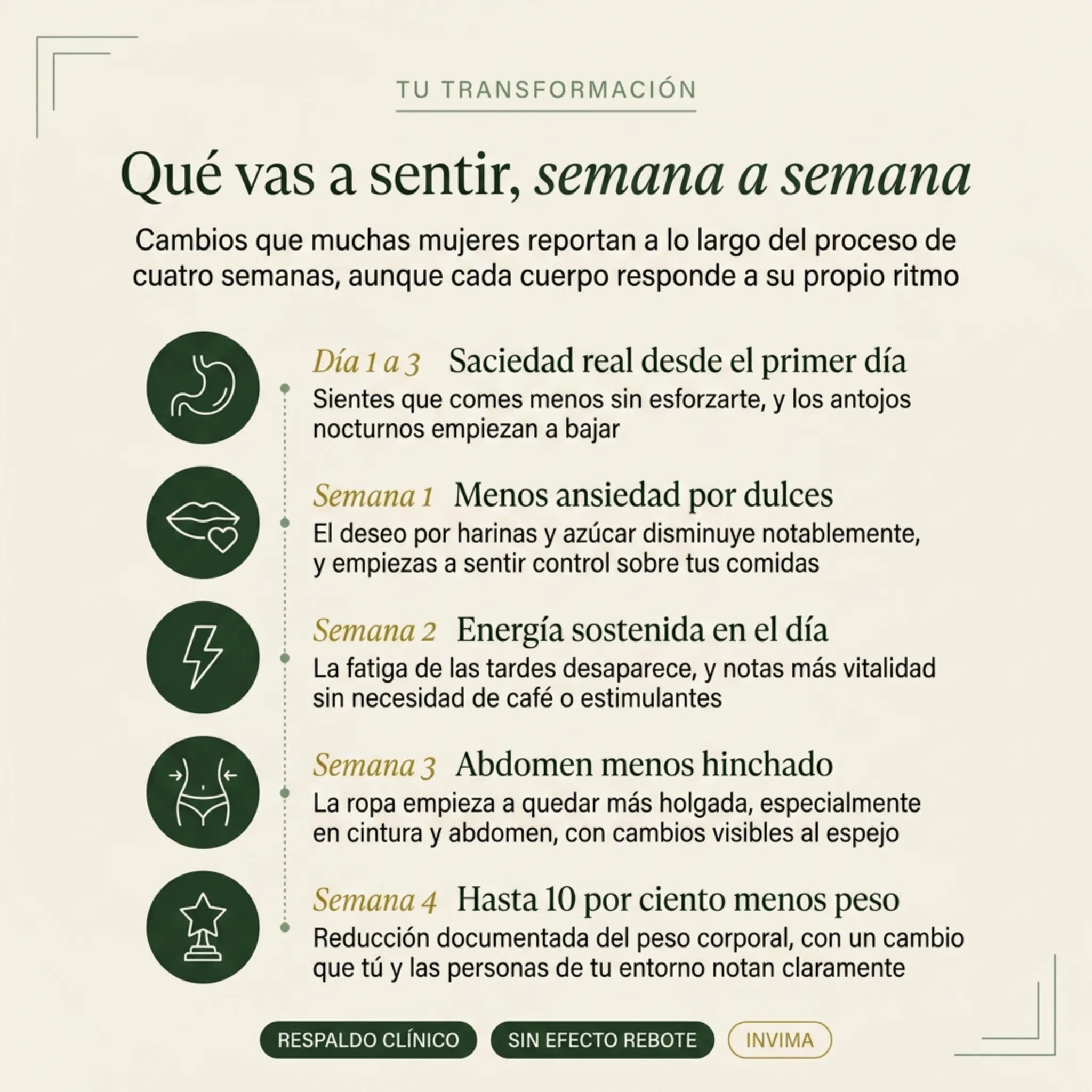 METCO RESET KIT QUEMADOR DE GRASA
